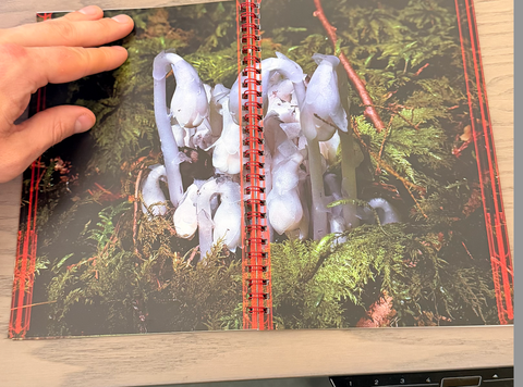 Spotify & Amazon will copy our idea and that's very dumb