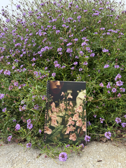 Forest Bathing for Punks