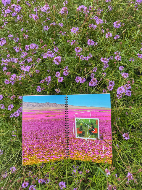 Forest Bathing for Punks