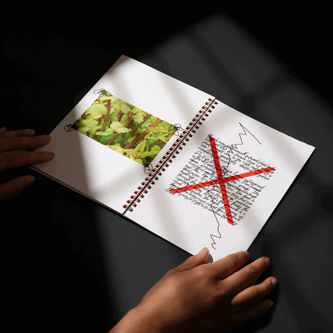 Forest Bathing for Punks